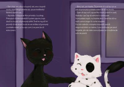 Jup, un pisoi de soi – volumul VIII – Jup si secretele noptii