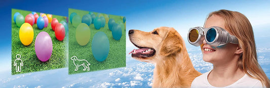 Set STEM - Descopera lumea prin alti ochi