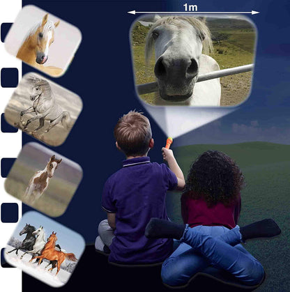 Proiector tip lanterna - Caluti