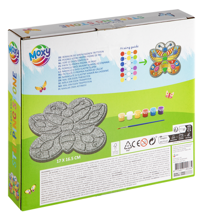 Set pictura pe piatra - Fluturas