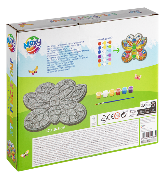 Set pictura pe piatra - Fluturas