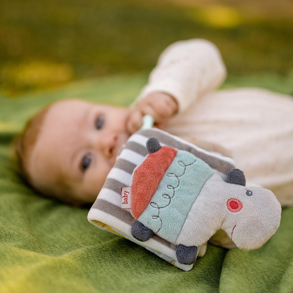 Carticica din plus - Loopy si Lotta