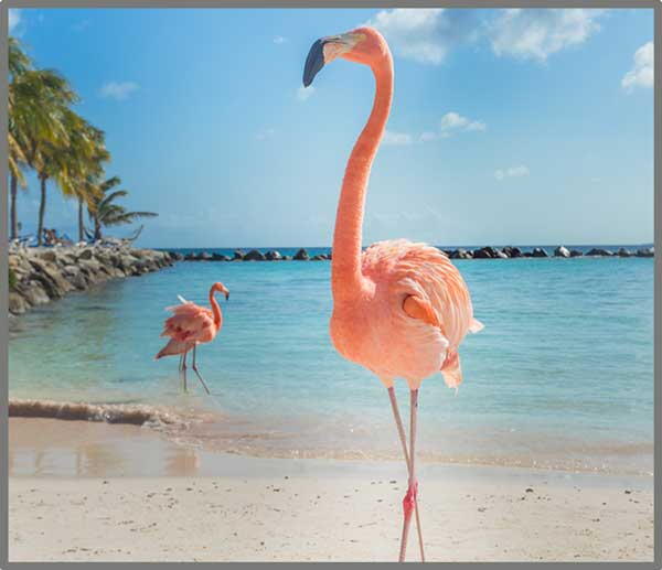 Proiector tip lanterna - Distractie cu animalute