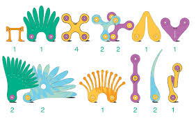 Clixo® joc magnetic de construit - Pasari tropicale (22 piese)