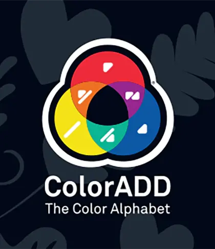 Joc Lambada - Carnavalul culorilor