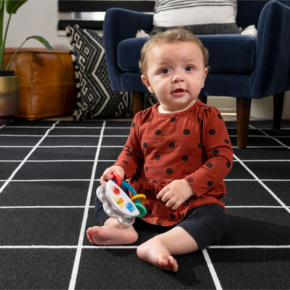 Baby Einstein - Jucarie muzicala si zornaitoare "Tiny Tambourine"