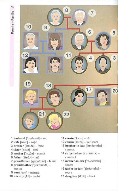 Vocabularul de baza in imagini - Limba engleza