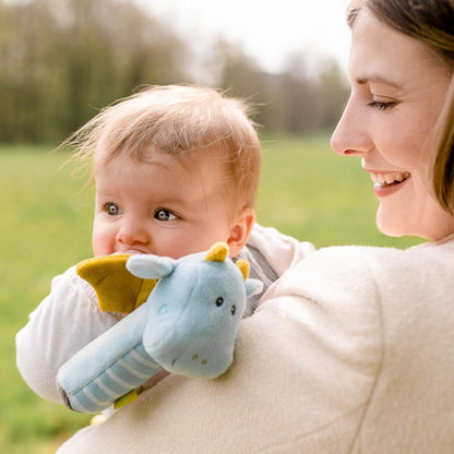 Jucarie pentru dexteritate - Dragon