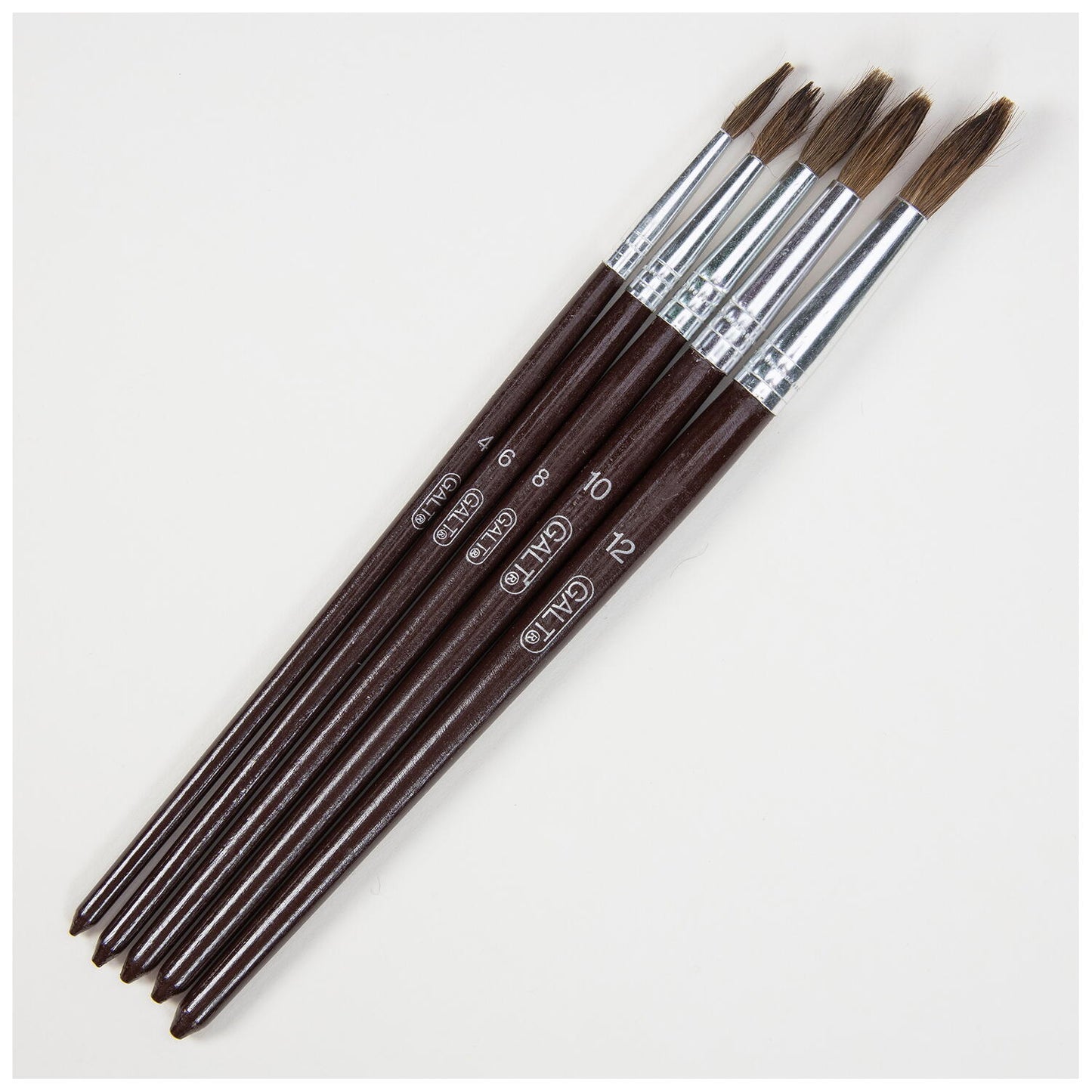 Set 5 pensule pictura