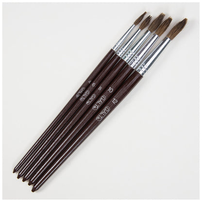 Set 5 pensule pictura