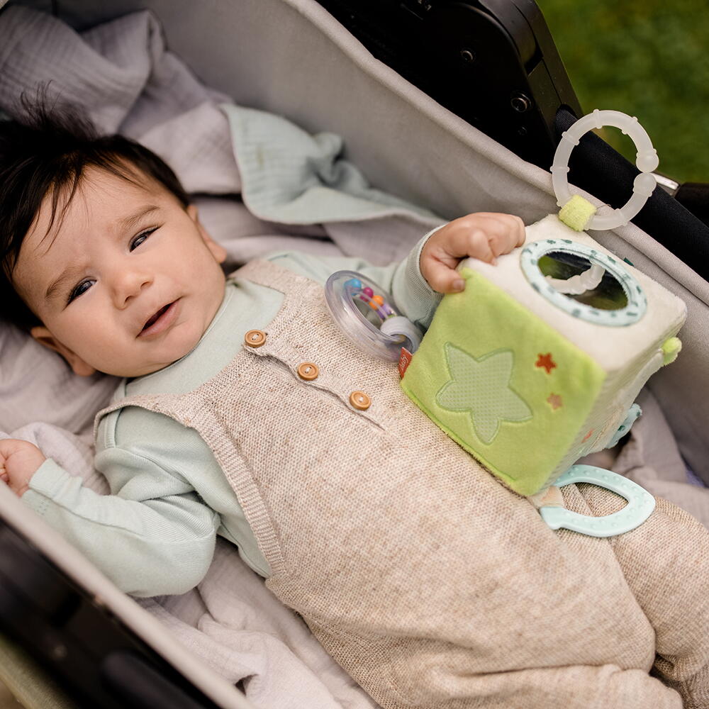 Cub din plus cu activitati - Animalute marine