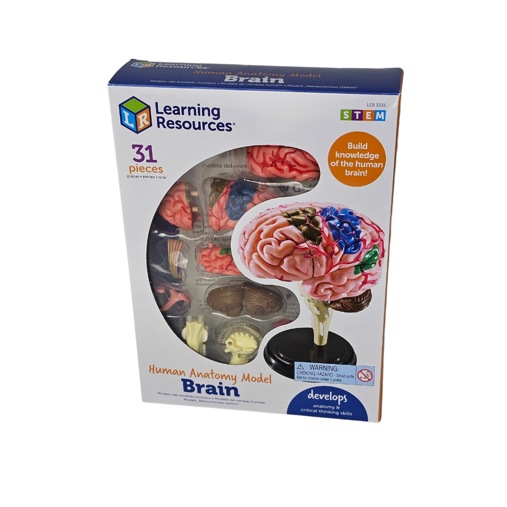 Macheta creierul uman