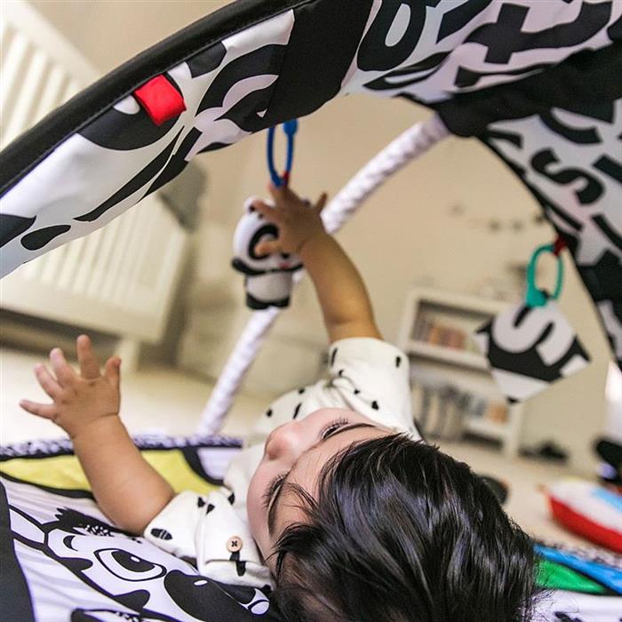 Baby Einstein - Salteluta de activitati Bold New World