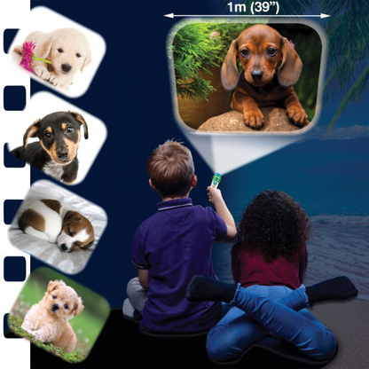 Proiector tip lanterna - Catelusi draguti