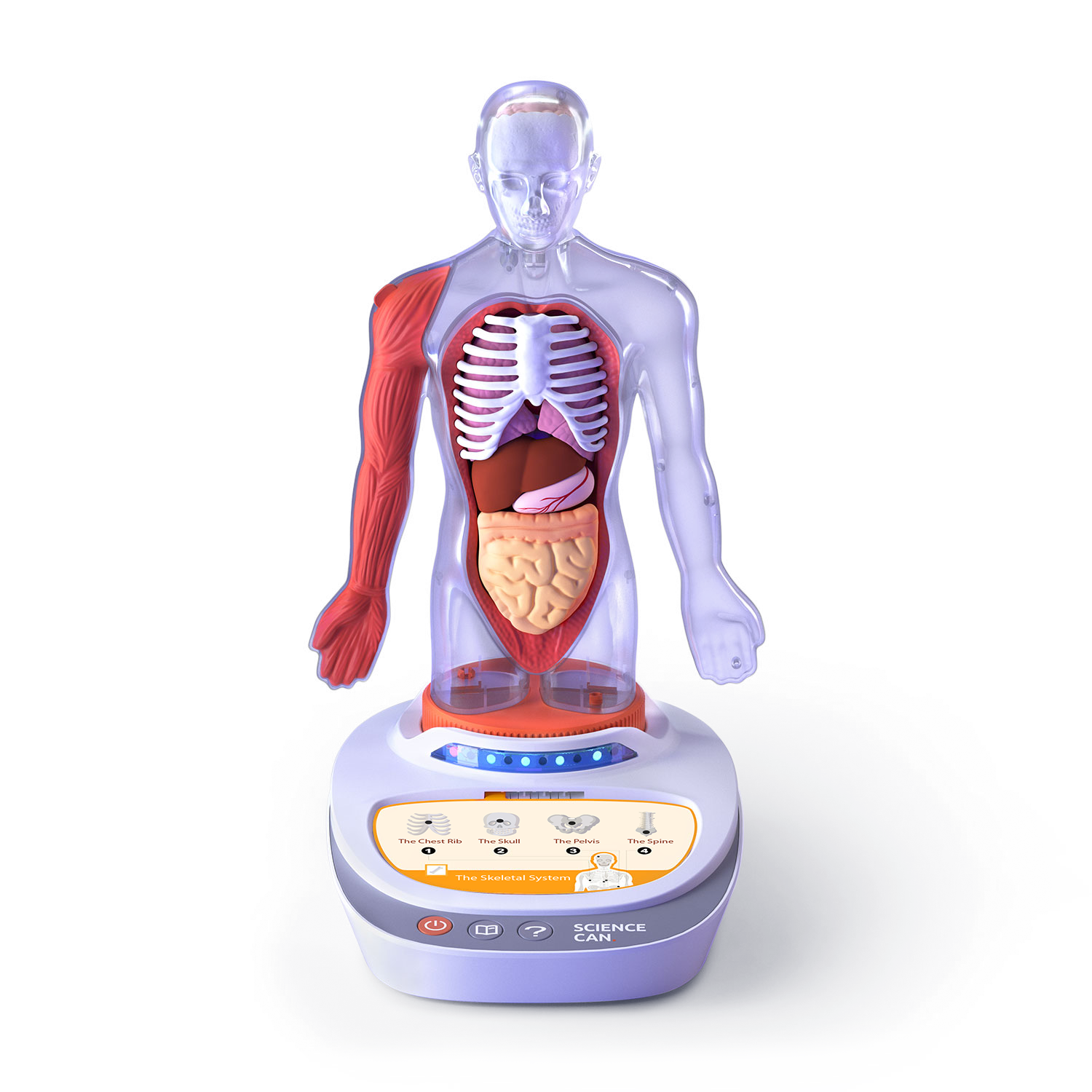 Descopera corpul uman - Enciclopedie Interactiva STEAM