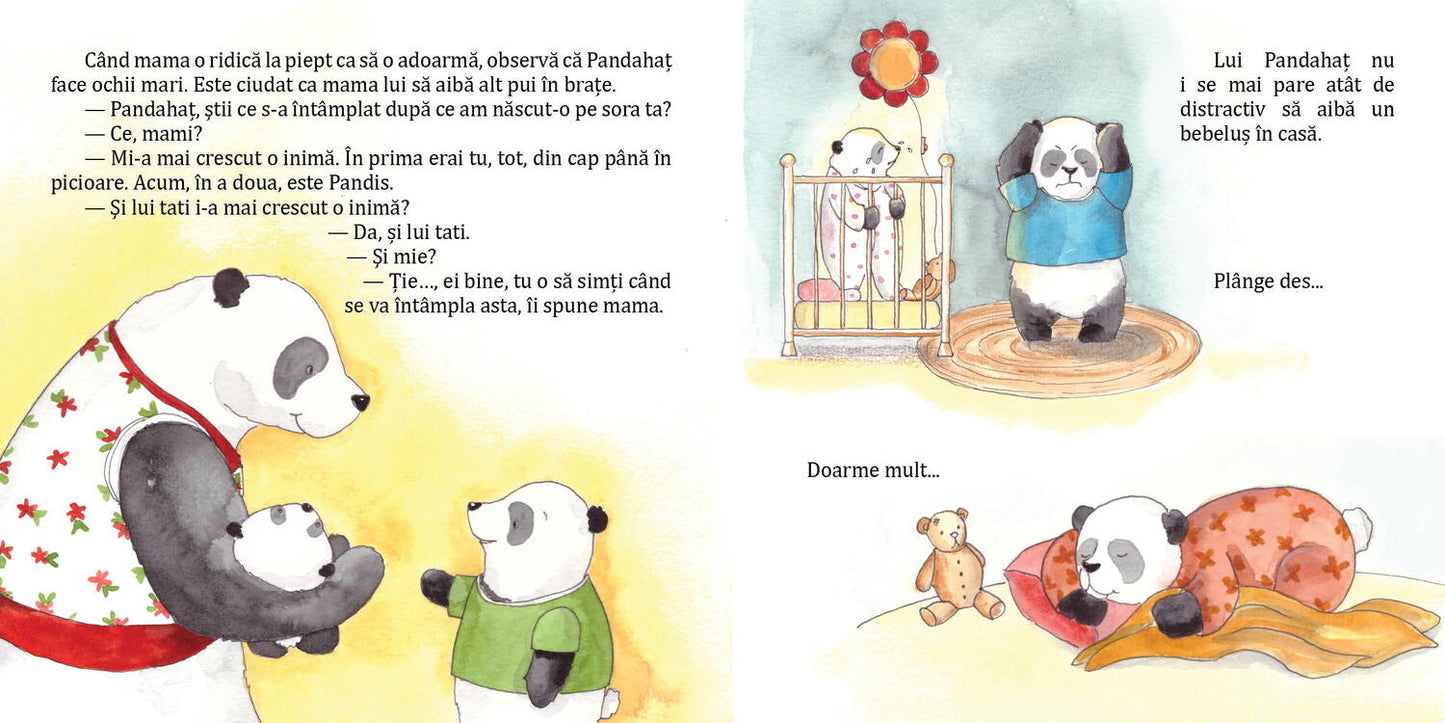 Pandahat are o surioara