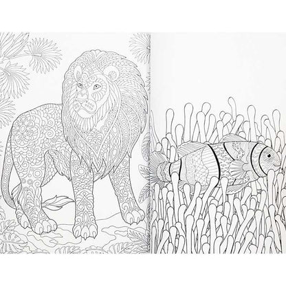 Carte de Colorat pentru Copii si Adulti - 72 Pagini, 20,5x15,7 cm Grafix GRCR5012-GE