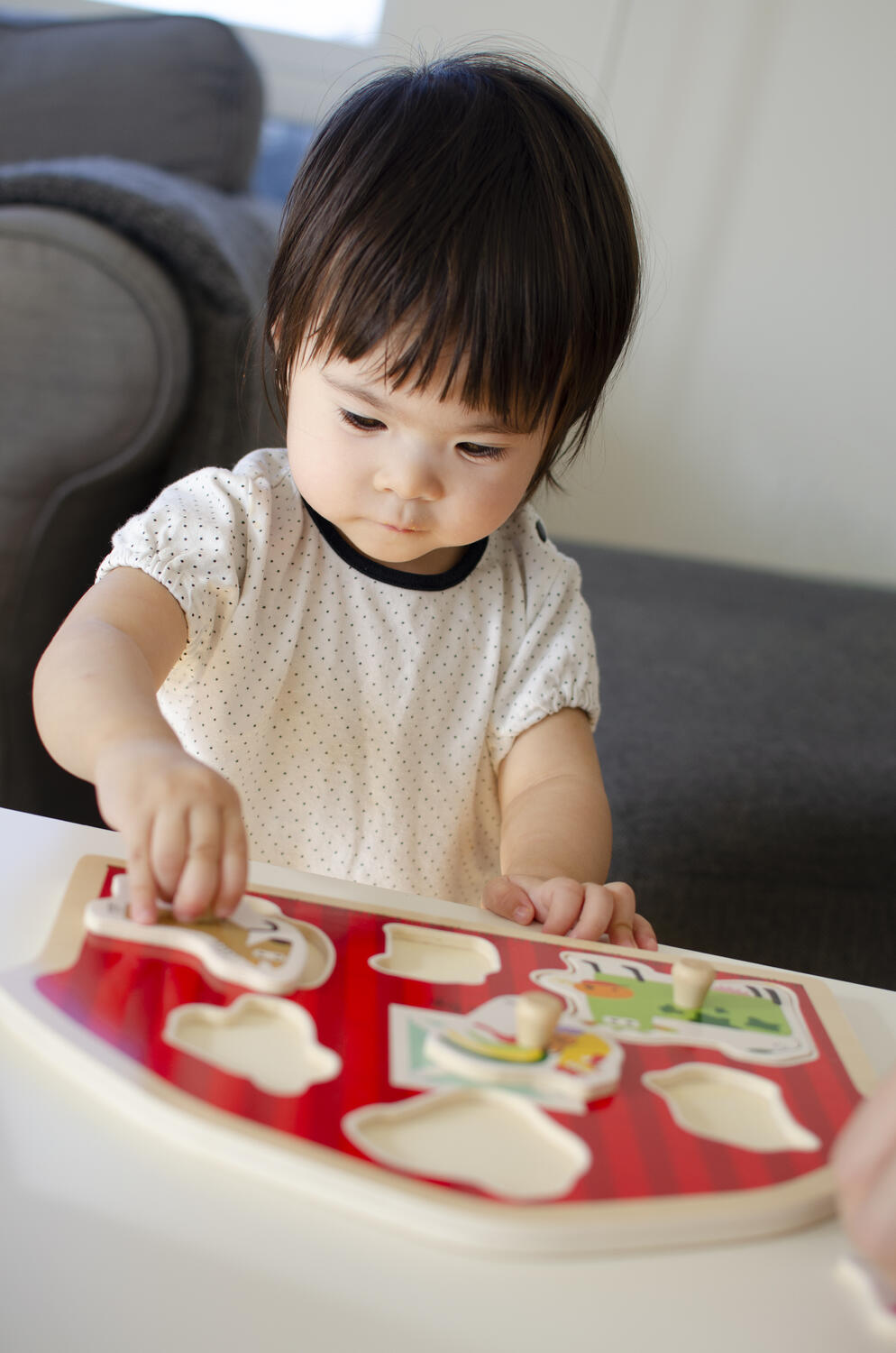 Puzzle din lemn - Casuta animalutelor