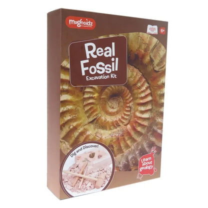 Kit paleontologie - Descopera fosile