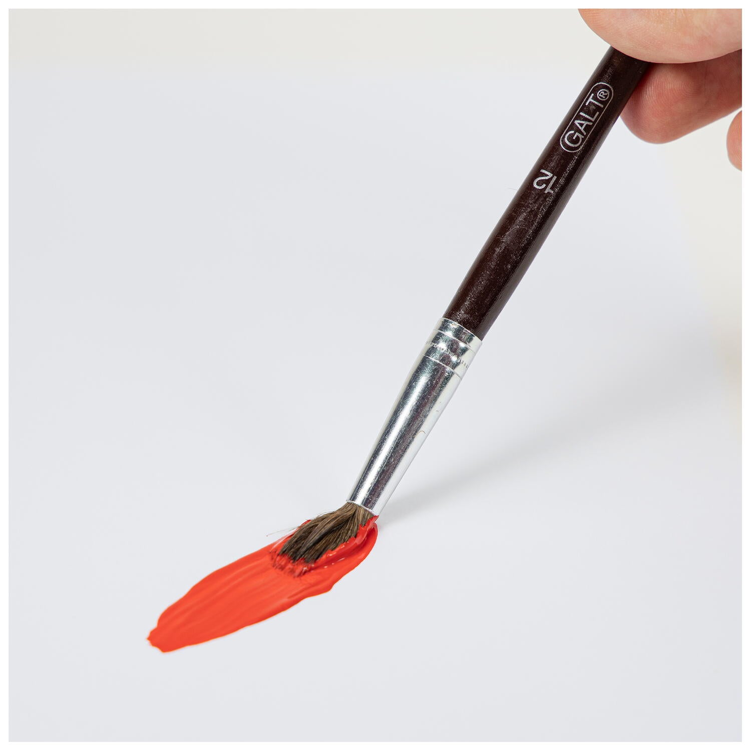 Set 5 pensule pictura