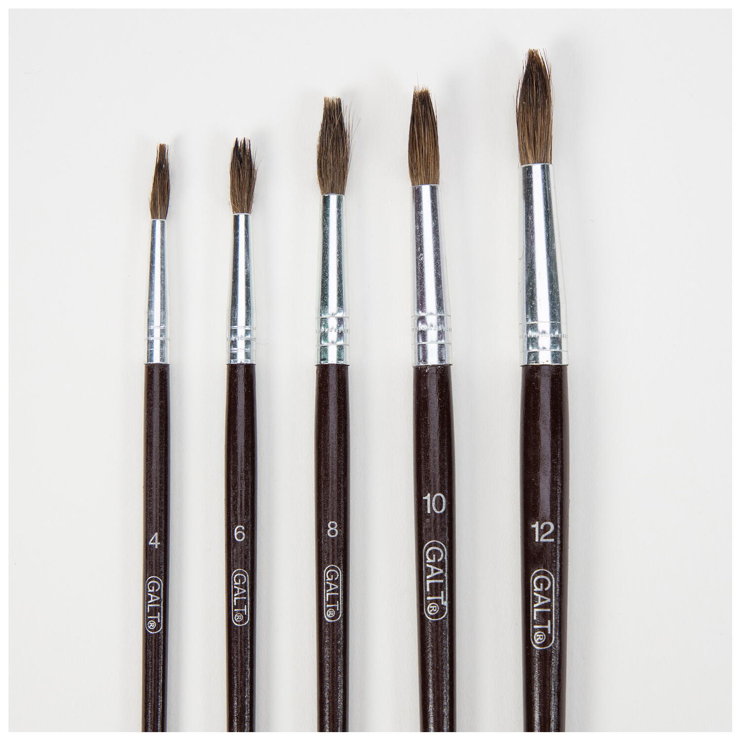 Set 5 pensule pictura