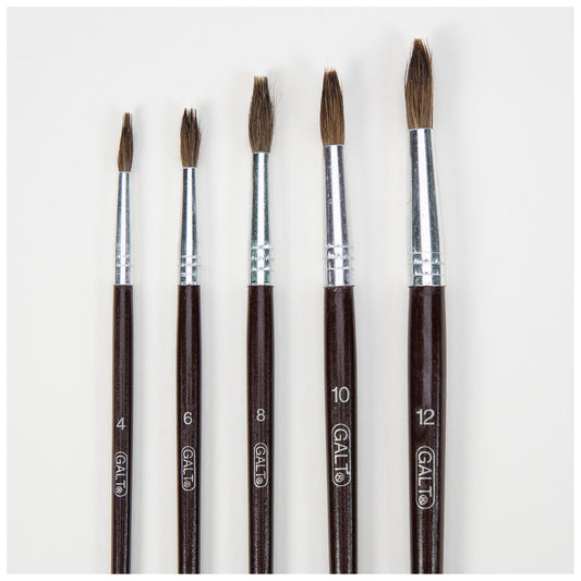 Set 5 pensule pictura