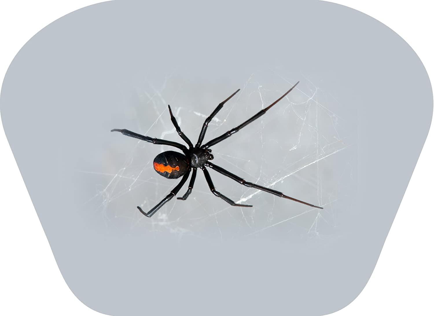 Proiector tip lanterna - Insecte