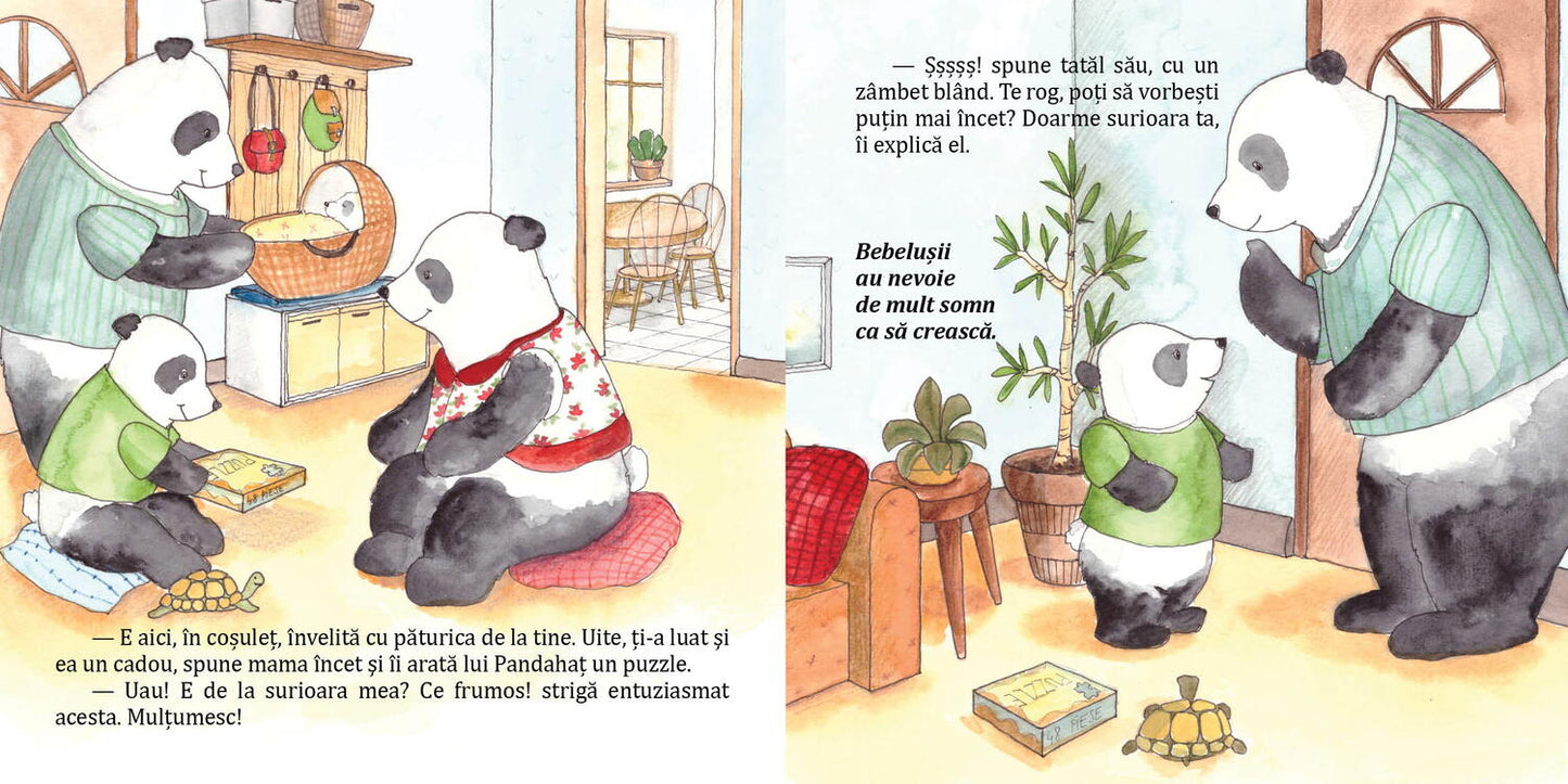 Pandahat are o surioara