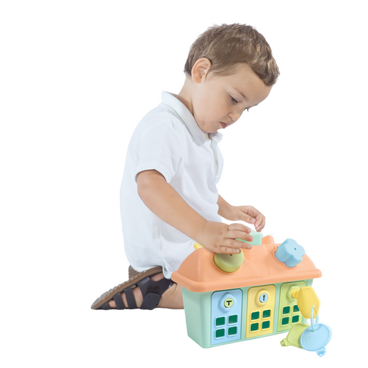 Joc sortare - Casuta pastel cu chei