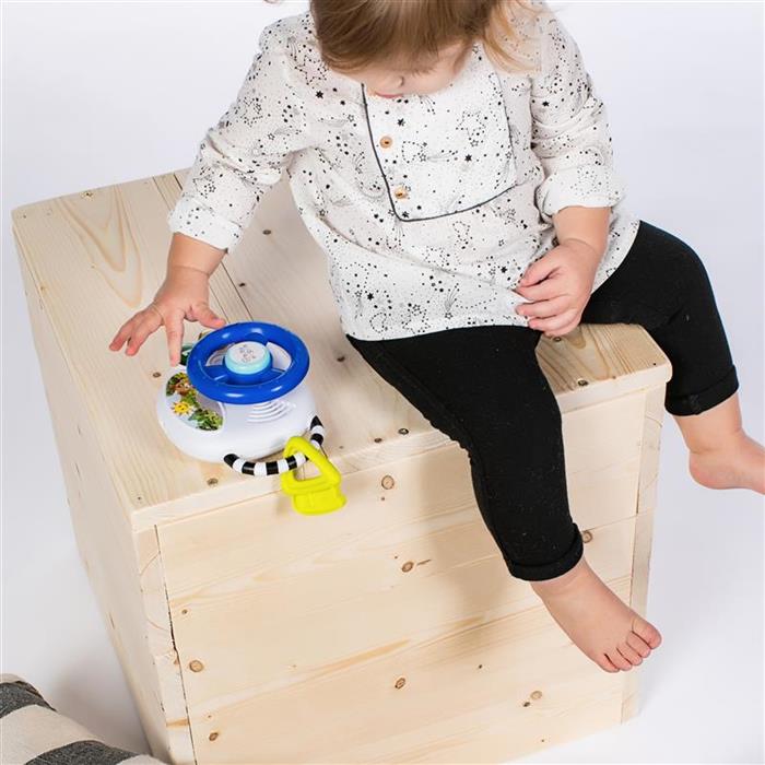 Baby Einstein - Jucarie volan muzical cu lumini Driving Tunes