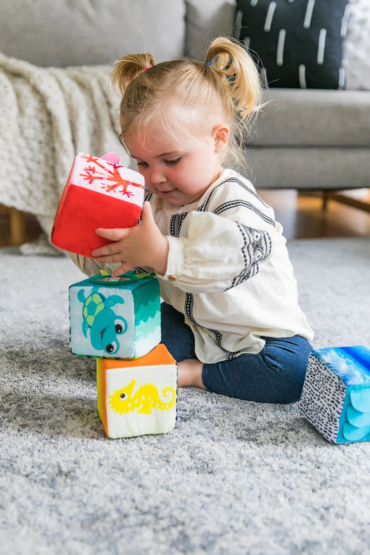 Baby Einstein - Cuburi moi Explore & Discover™