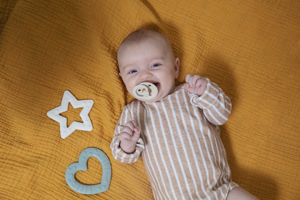 BIBS - Jucarie de dentitie in forma de inima, Blush