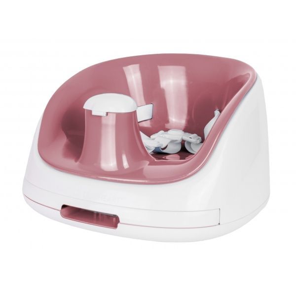 Booster Coral Baza Alba 4 Luni+ Prince Lionheart 7284