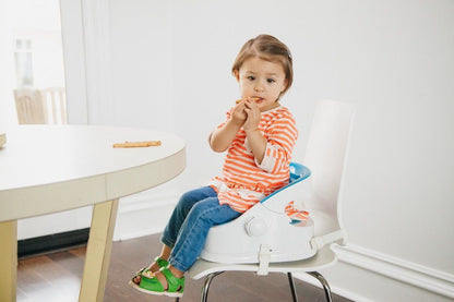  Prince Lionheart 7034