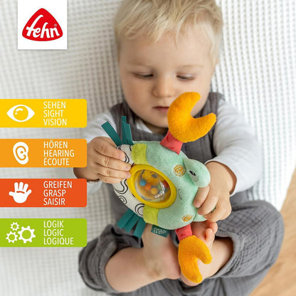 Zornaitoare - Crabul vesel