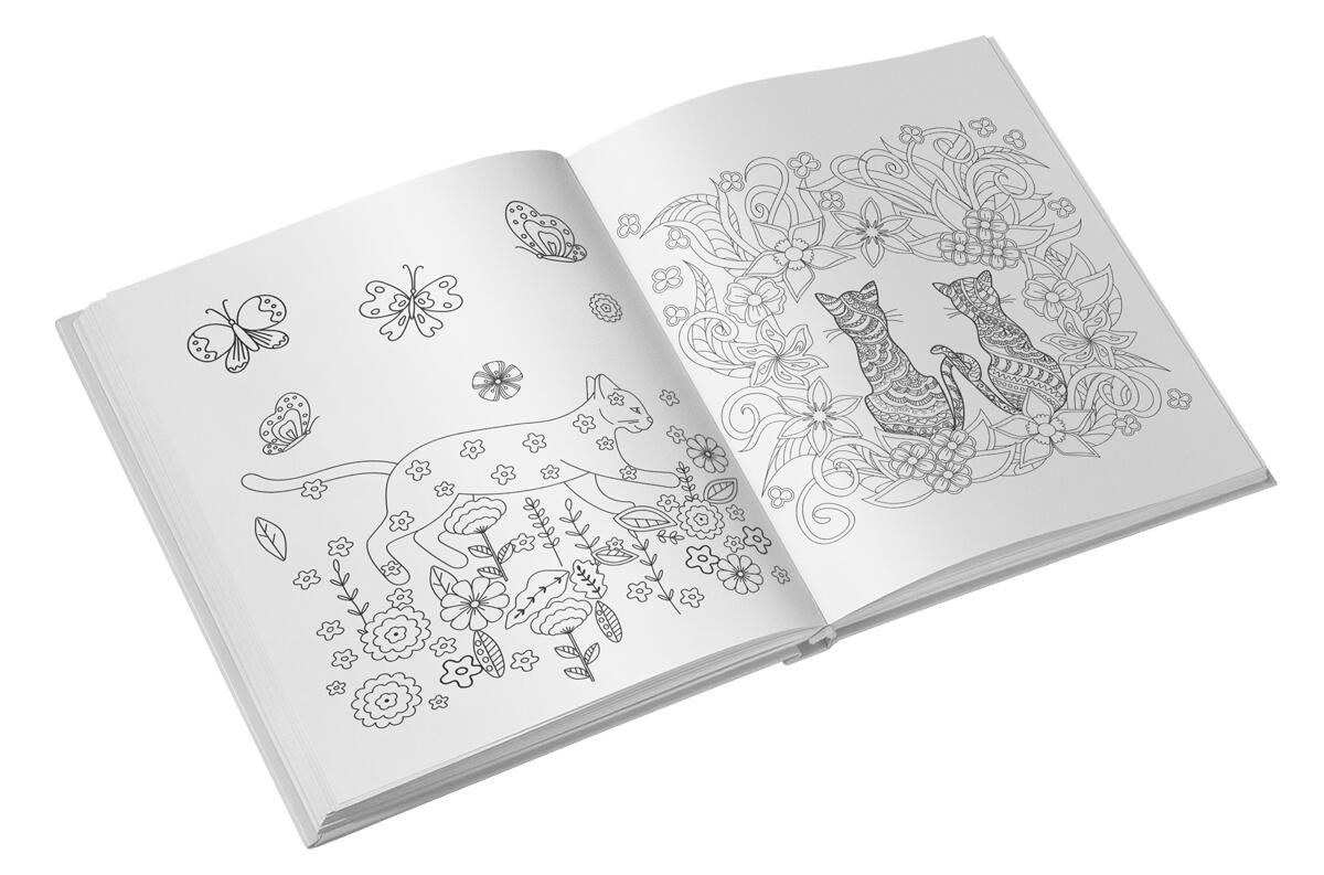 Colorez pisici - carte de colorat