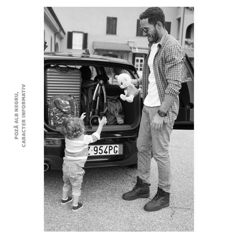 Carucior sport copii Chicco Cheerio, Hydra, 0luni+