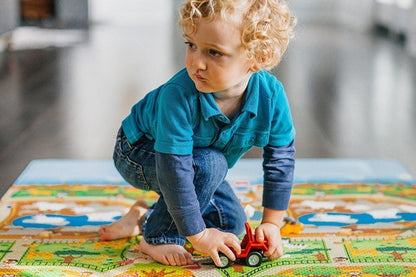  Prince Lionheart 7750