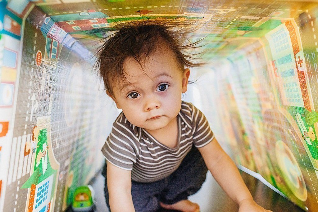  Prince Lionheart 7765