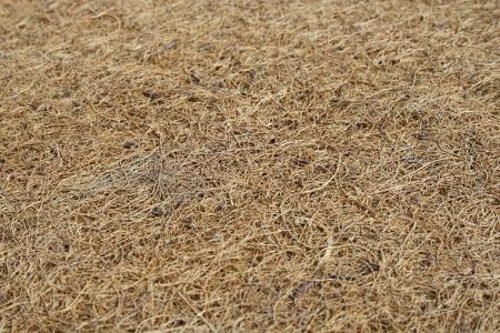 Saltea MyKids Fibra De Cocos Integral 120x60x6 Husa Bumbac Nematlasat