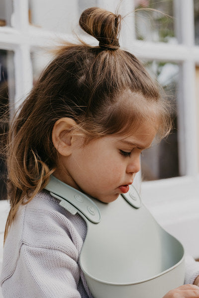 BIBS - Bavetica pentru diversificare si hranire, Sage