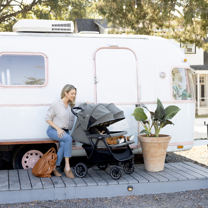 Joie - Carucior de gemeni Estrella Ebony