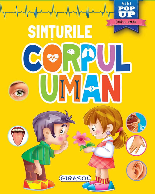 Corpul uman - Simturile