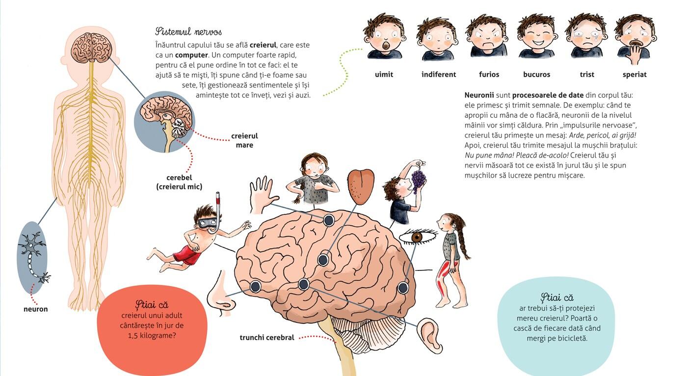 Vreau sa stiu - Cum functioneaza corpul meu