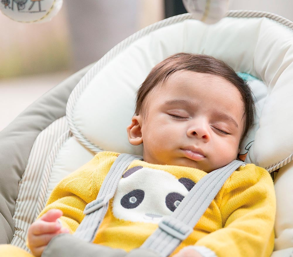 Joie – Leagan si balansoar rotativ Sansa 2 in 1 Fern