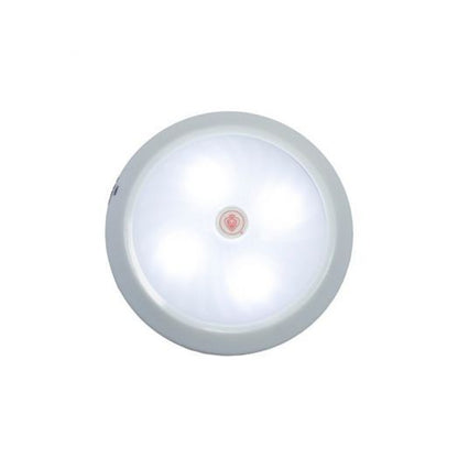  Prince Lionheart 9244