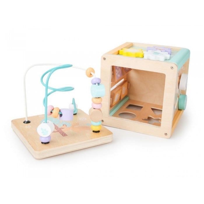 Cub educational din lemn cu labirint si sortator Ecotoys HM015472