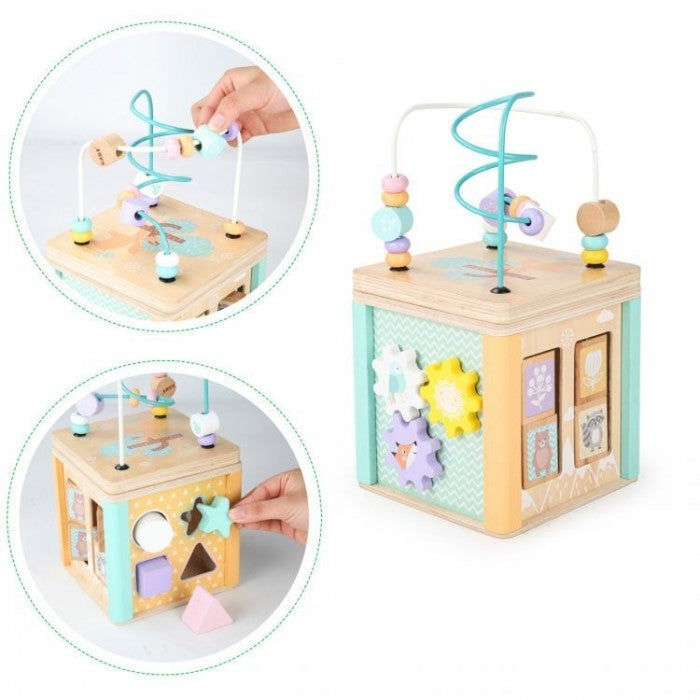 Cub educational din lemn cu labirint si sortator Ecotoys HM015472