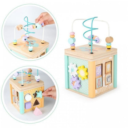 Cub educational din lemn cu labirint si sortator Ecotoys HM015472