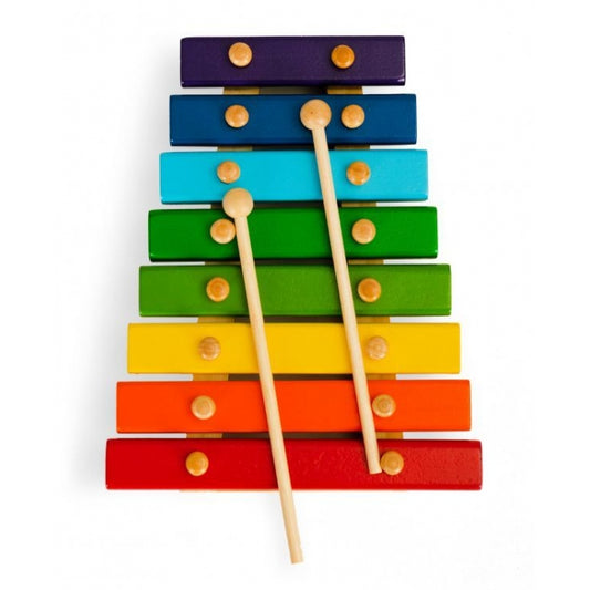 Xilofon pentru copii, versiune cu 8 tonuri, Ecotoys PH08C002